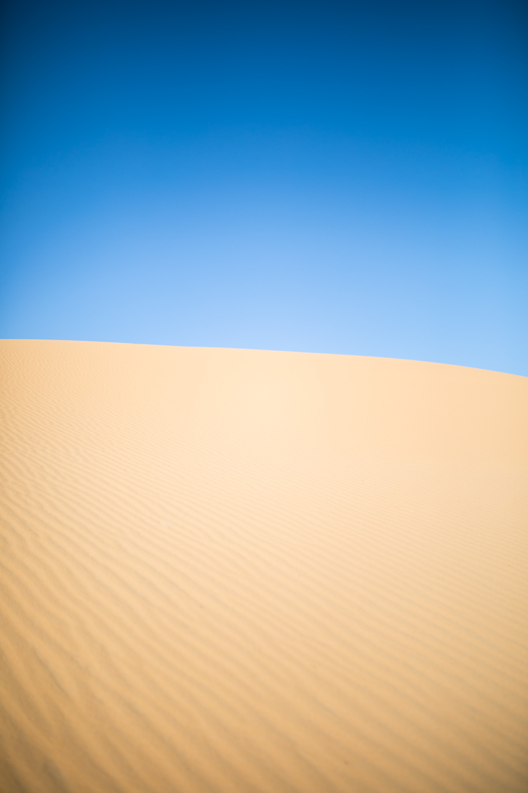 Human & Nature  outoftime 66